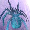 tornasolado4.png